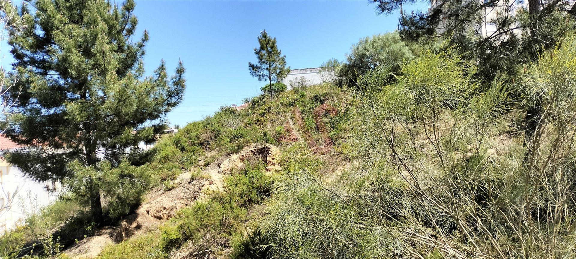 Lote de terreno a 3 kms da cidade de Santarém, no coração da Lezíria Ribatejana