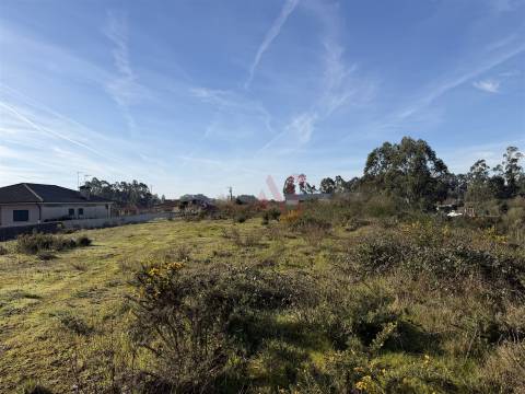 Oportunidade de Restauro com Vistas Desafogadas em Lamoso