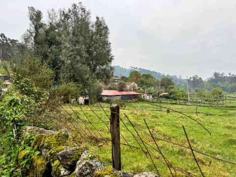 Terreno Rústico em Vieira do Minho – Natureza e Agricultura!
