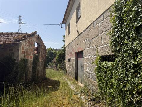 Quinta com acesso direto ao rio em Penafiel | 14.698 m²