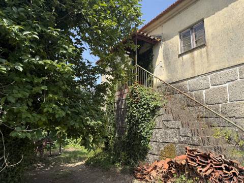 Quinta com acesso direto ao rio em Penafiel | 14.698 m²