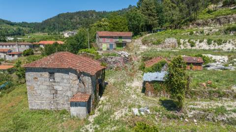 Quinta com Elevado Potencial em Vila Meã – Amarante