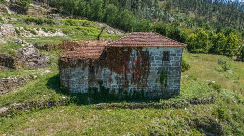 Quinta com Elevado Potencial em Vila Meã – Amarante