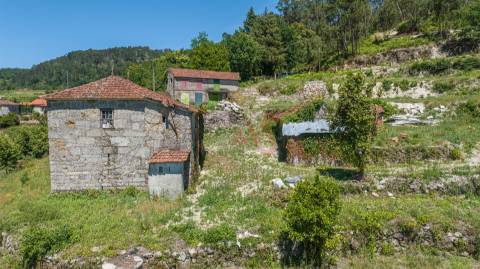 Quinta com Elevado Potencial em Vila Meã – Amarante