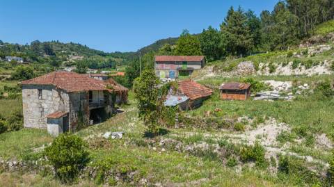 Quinta com Elevado Potencial em Vila Meã – Amarante