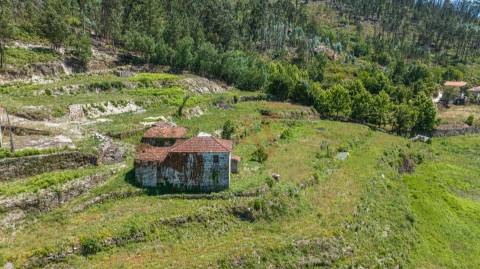Quinta com Elevado Potencial em Vila Meã – Amarante