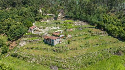 Quinta com Elevado Potencial em Vila Meã – Amarante
