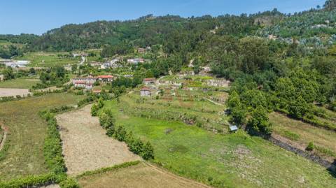 Quinta com Elevado Potencial em Vila Meã – Amarante