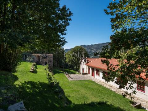 Quinta de Velude no Douro com 7 Hectares