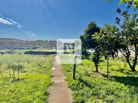 Quinta com moradia para recuperar em Gulpilhares, Vila Nova de Gaia