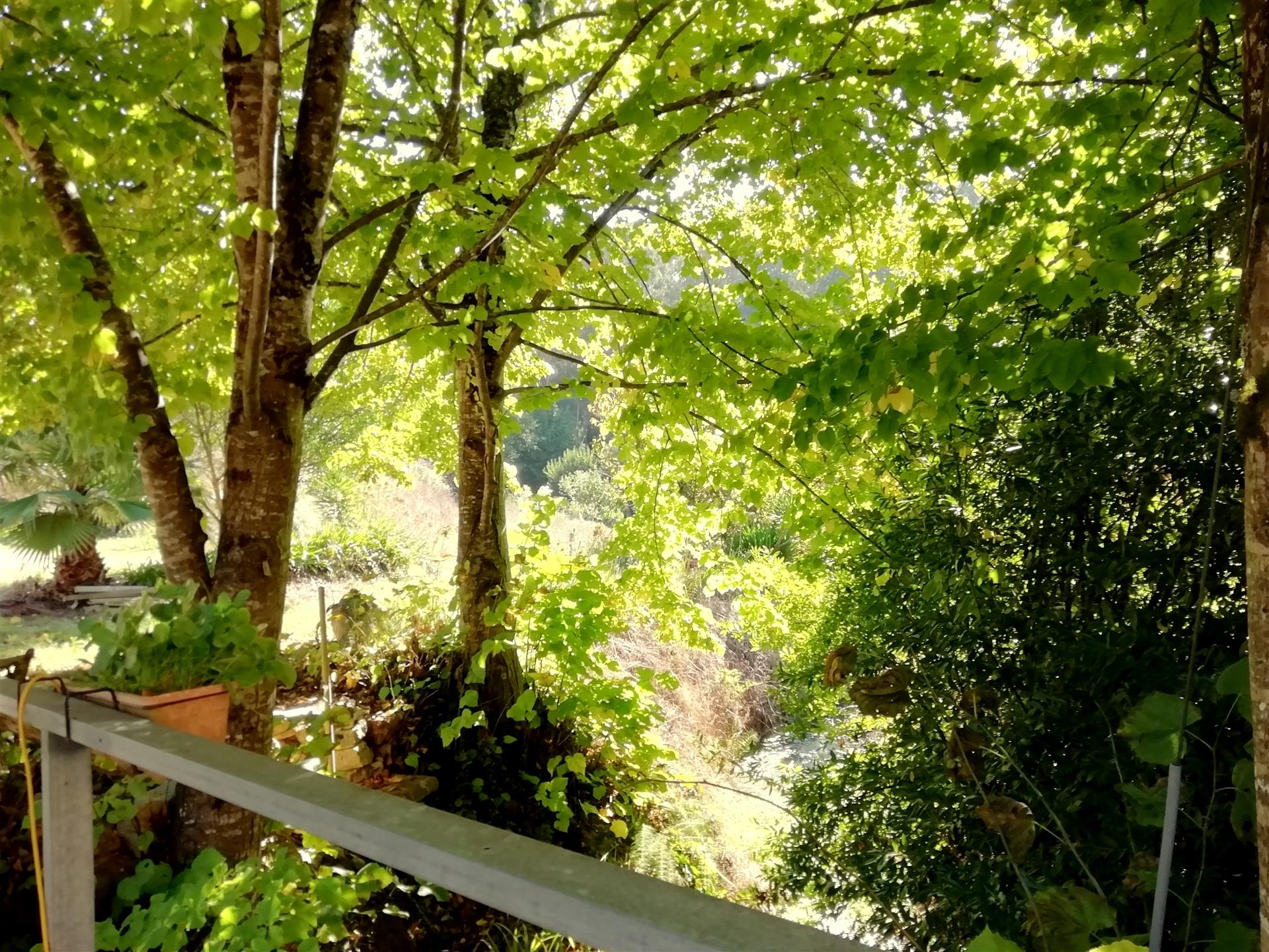 Herdade de 15 ha - Figueira da Foz!