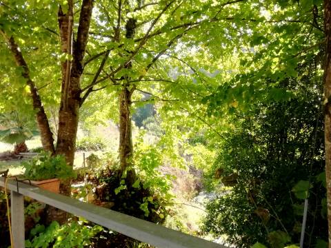 Herdade de 15 ha - Figueira da Foz!