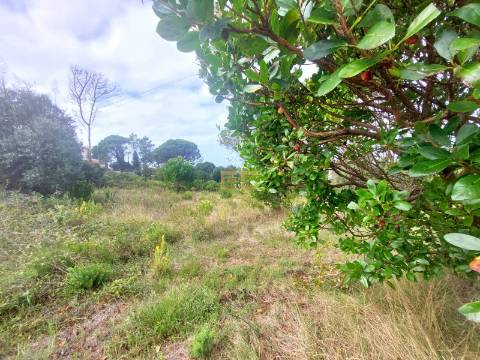 Terreno com vistas de mar- em Buarcos!
