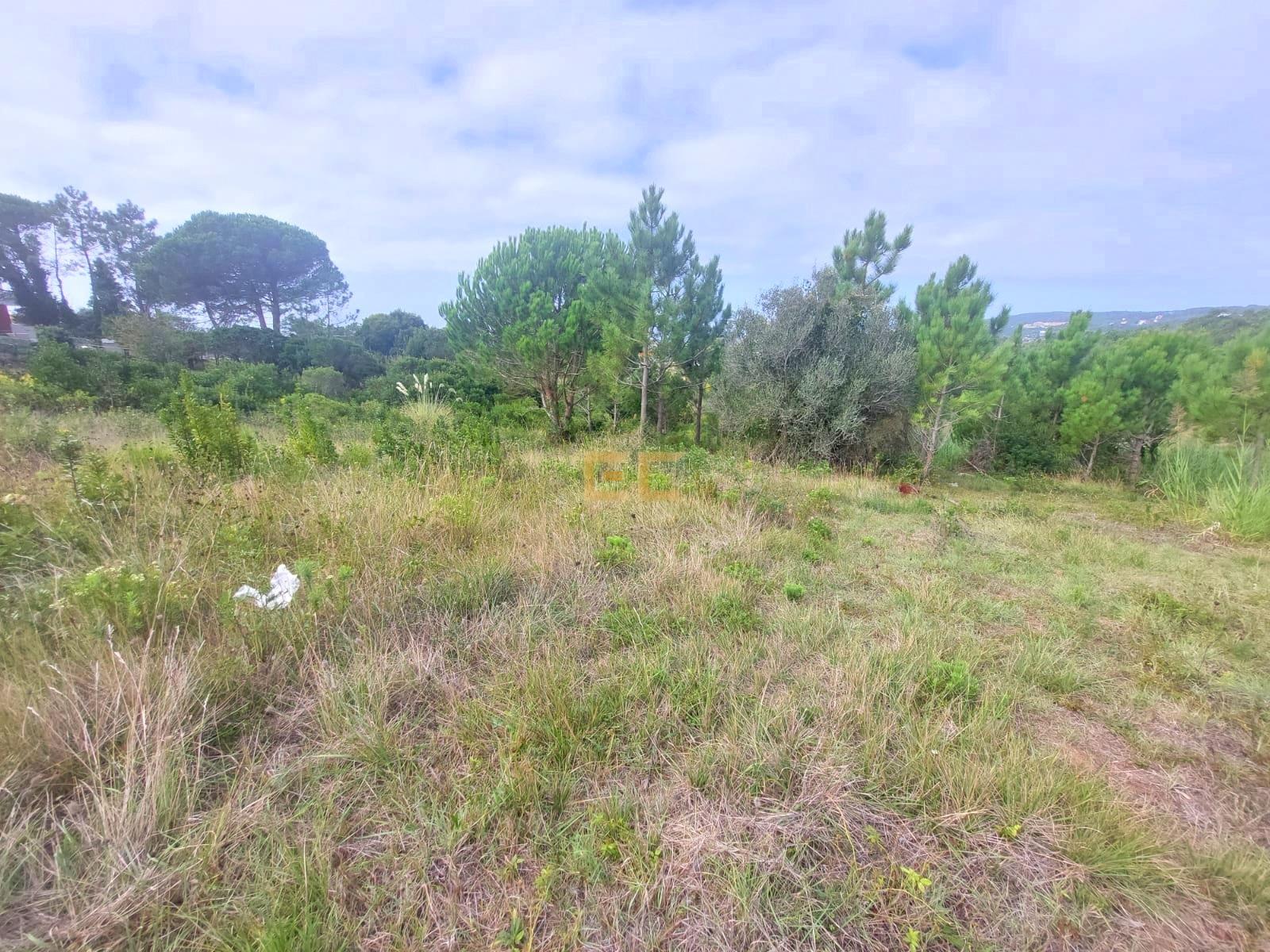 Terreno com vistas de mar- em Buarcos!