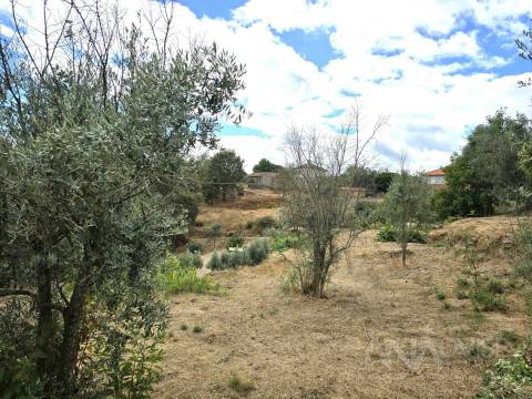 Moradia Isolada T3 Venda em São Pedro de France,Viseu