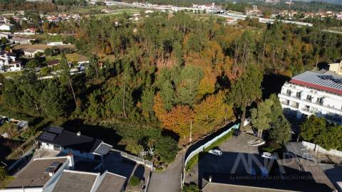 Terreno Para Construção  Venda em Rio de Loba,Viseu
