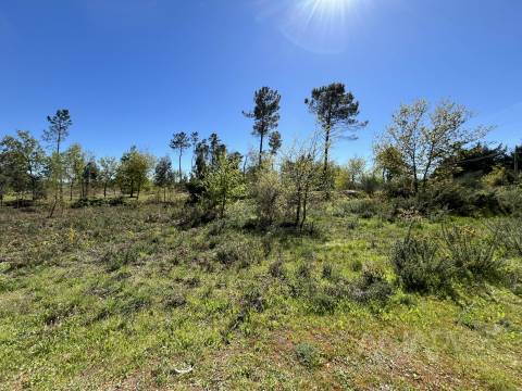 Terreno Para Construção  Venda em Rio de Loba,Viseu