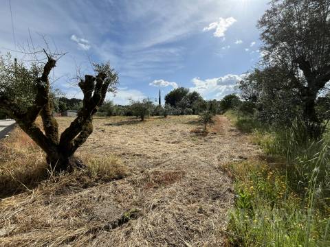 Terreno  Venda em Silgueiros,Viseu