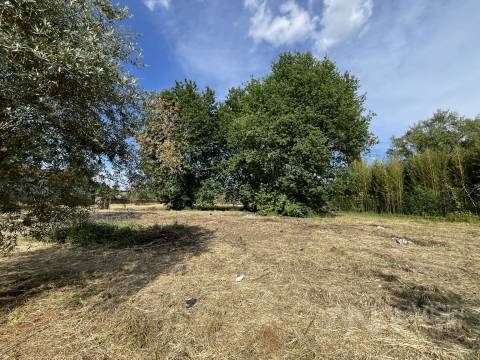 Terreno  Venda em Silgueiros,Viseu