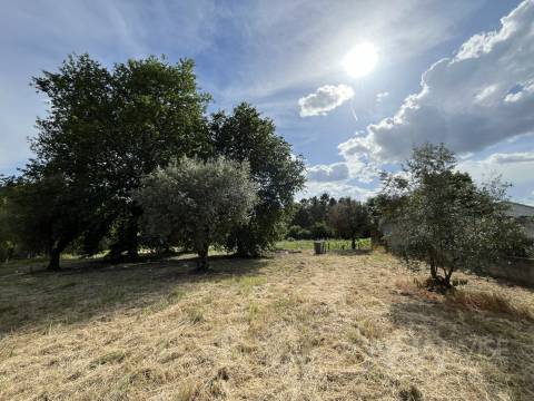 Terreno  Venda em Silgueiros,Viseu