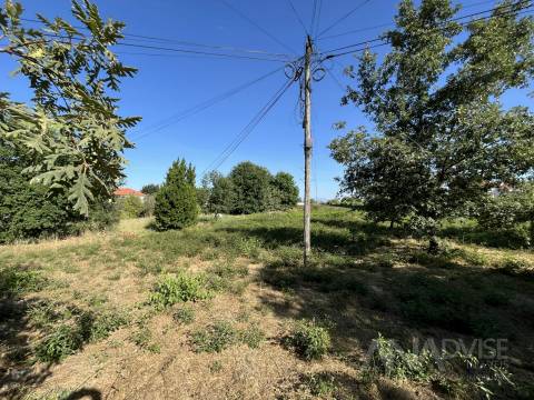 Terreno  Venda em Orgens,Viseu