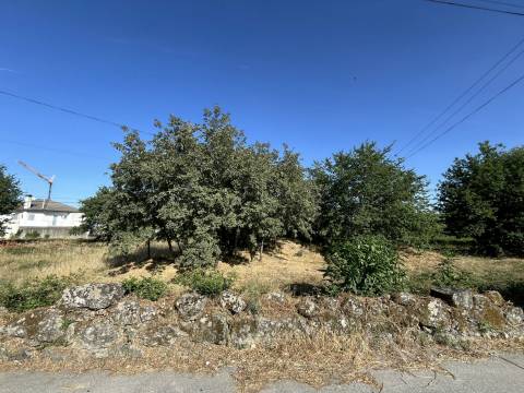 Terreno  Venda em Orgens,Viseu