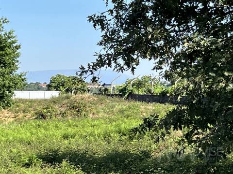 Terreno  Venda em Orgens,Viseu