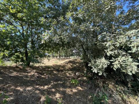 Terreno  Venda em Orgens,Viseu