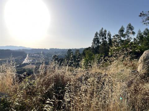 Terreno  Venda em Viseu,Viseu