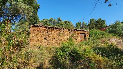 Quinta T0 para venda, em Juncal do Campo com 3720m2, ruina e dois poços