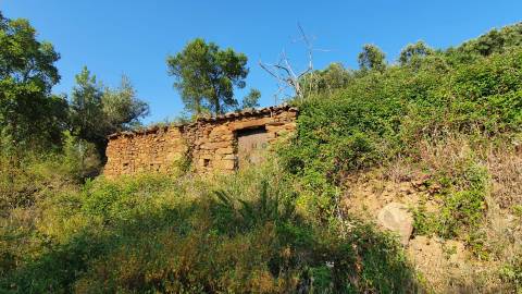Quinta T0 para venda, em Juncal do Campo com 3720m2, ruina e dois poços