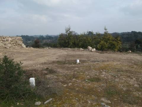 Lote de terreno com 5000m2 com projeto em Castelo Branco