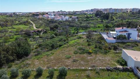 Lote de terreno com 5000m2 com projeto em Castelo Branco
