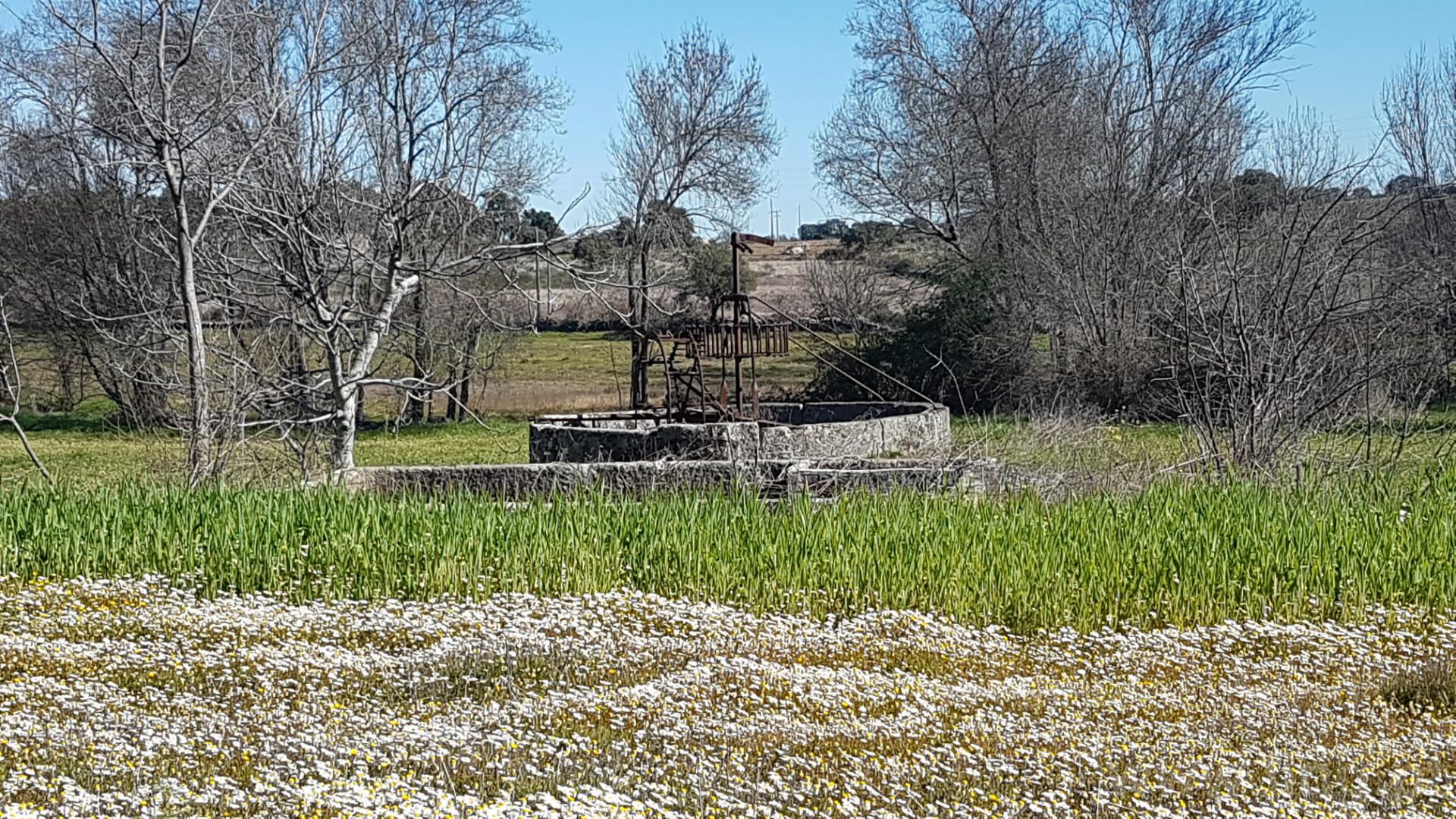 Quinta T2 Venda em Castelo Branco,Castelo Branco
