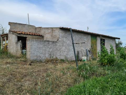 Excelente Quinta com 7000m2, Ladoeiro, Idanha-a-nova, Castelo Branco