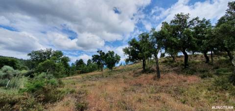 Quinta T1 para venda, na Freguesia das Sarzedas com 4680m2