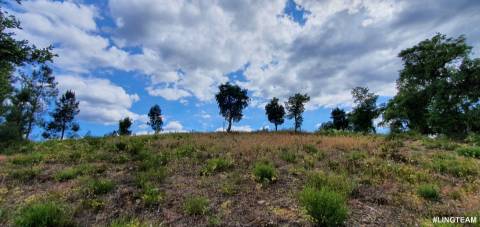 Quinta T1 para venda, na Freguesia das Sarzedas com 4680m2