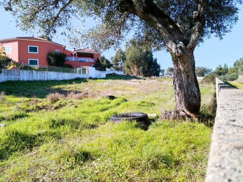 Terreno Para Construção  Venda em Benquerenças,Castelo Branco