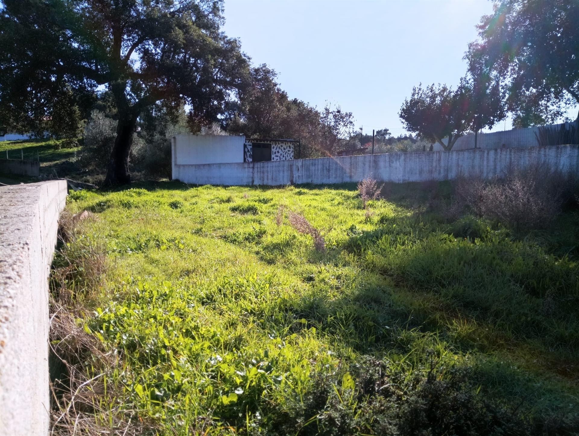 Terreno Para Construção  Venda em Benquerenças,Castelo Branco