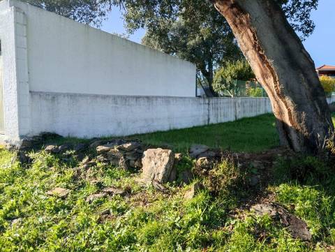 Terreno Para Construção  Venda em Benquerenças,Castelo Branco