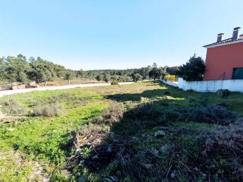 Terreno Para Construção  Venda em Benquerenças,Castelo Branco