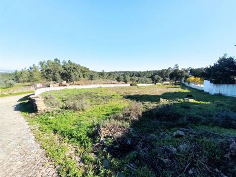 Terreno Para Construção  Venda em Benquerenças,Castelo Branco