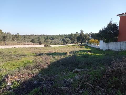 Terreno Para Construção  Venda em Benquerenças,Castelo Branco