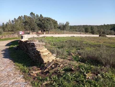 Terreno Para Construção  Venda em Benquerenças,Castelo Branco