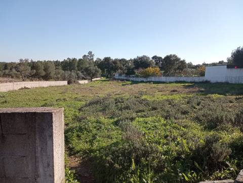 Terreno Para Construção  Venda em Benquerenças,Castelo Branco