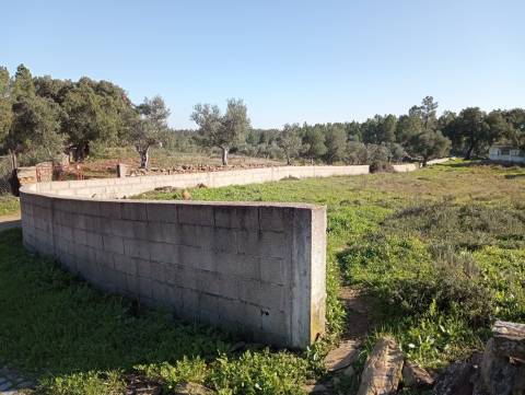 Terreno Para Construção  Venda em Benquerenças,Castelo Branco