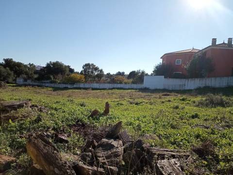 Terreno Para Construção  Venda em Benquerenças,Castelo Branco