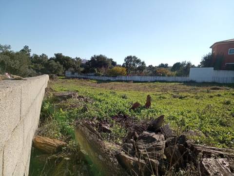 Terreno Para Construção  Venda em Benquerenças,Castelo Branco
