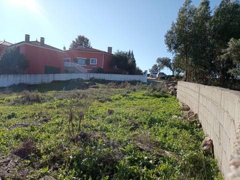 Terreno Para Construção  Venda em Benquerenças,Castelo Branco