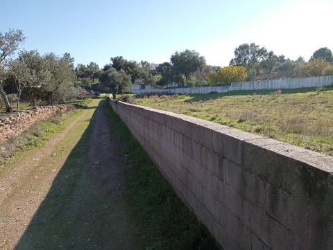 Terreno Para Construção  Venda em Benquerenças,Castelo Branco